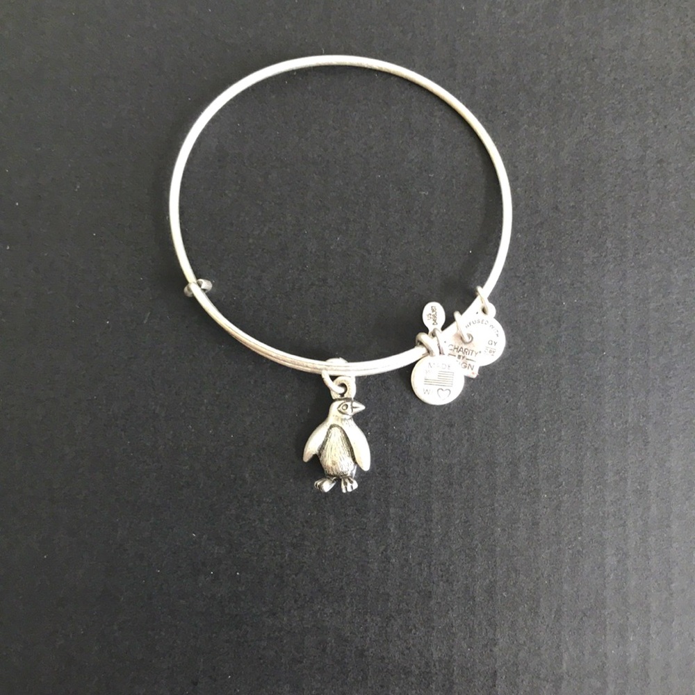 Silver Alex and Ani penguin bracelet